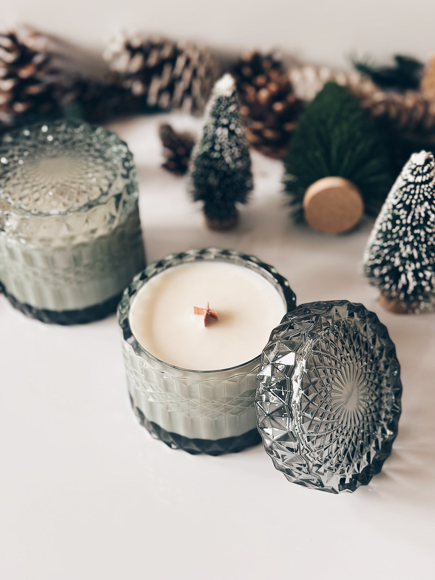 en mer LTD | winter garden | wooden wick soy wax candle