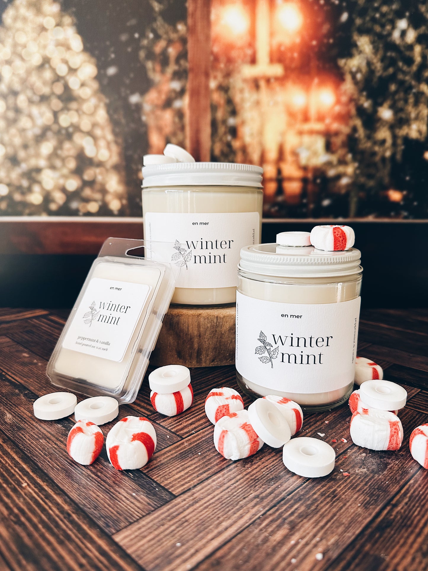 en mer | winter mint | soy wax candle & melts