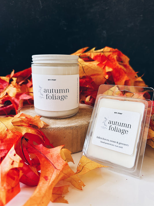 en mer | autumn foliage | soy wax candle & melts