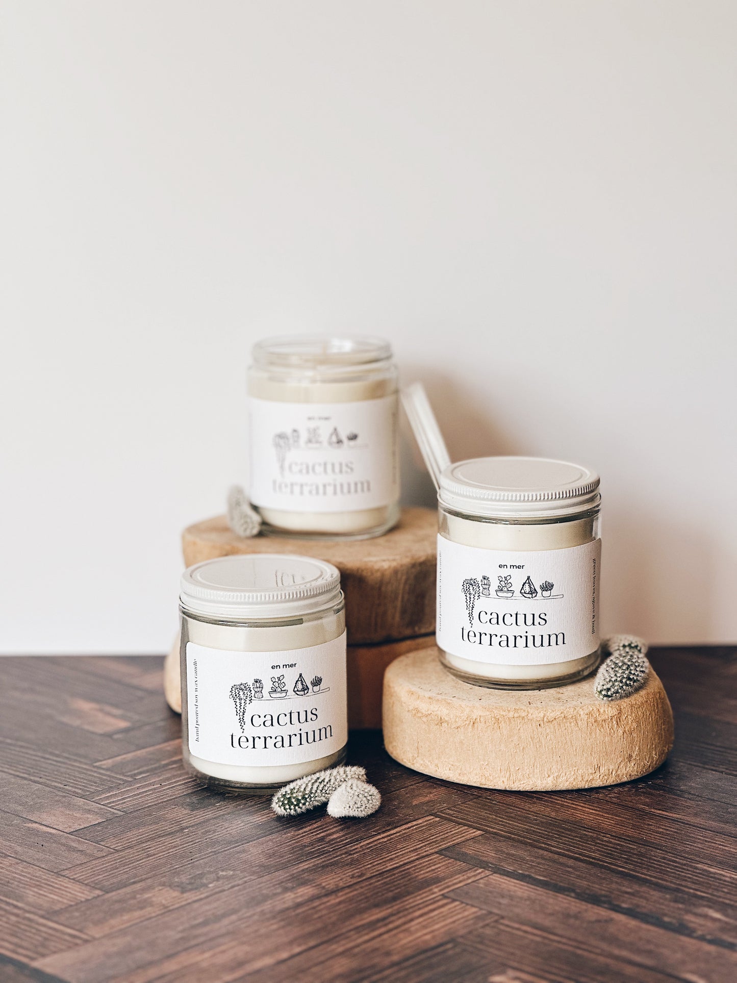 en mer | cactus terrarium | soy wax candle