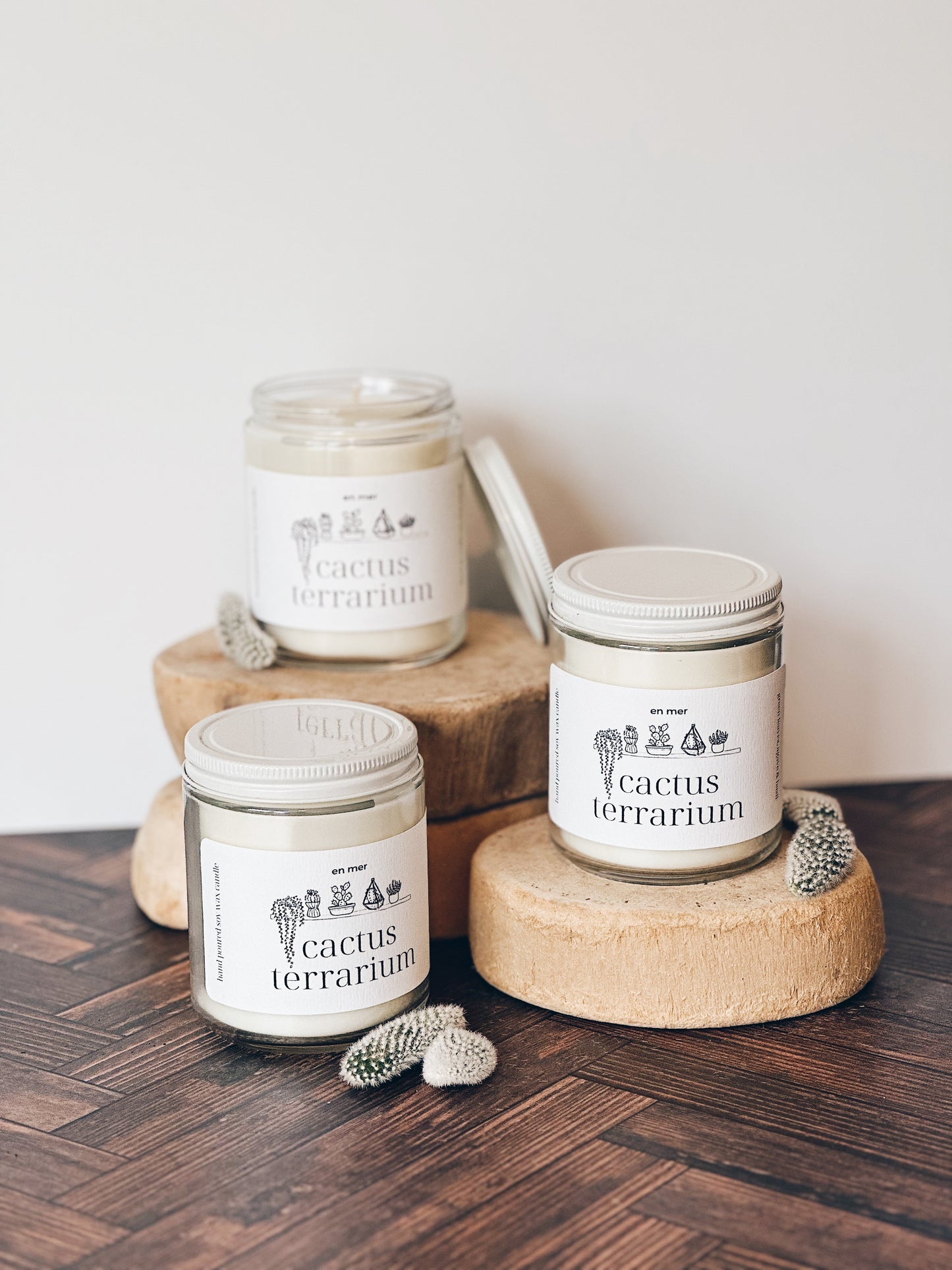 en mer | cactus terrarium | soy wax candle