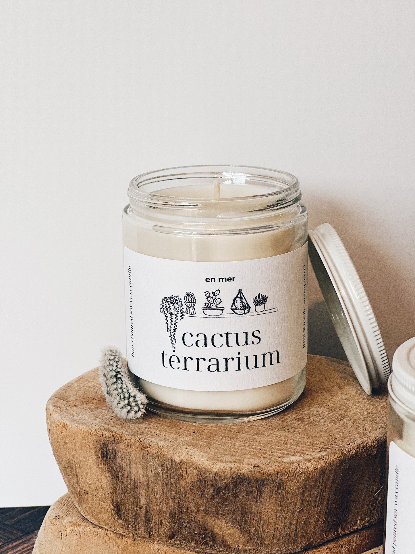 en mer | cactus terrarium | soy wax candle