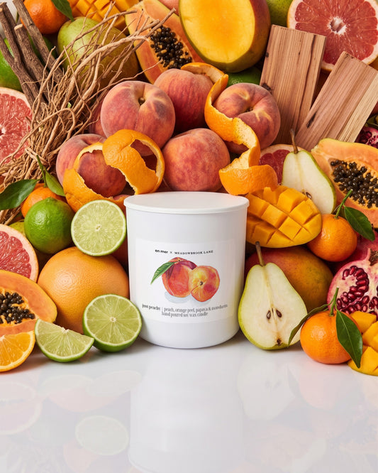 just peachy | soy wax candle by en mer x Meadowbrook Lane