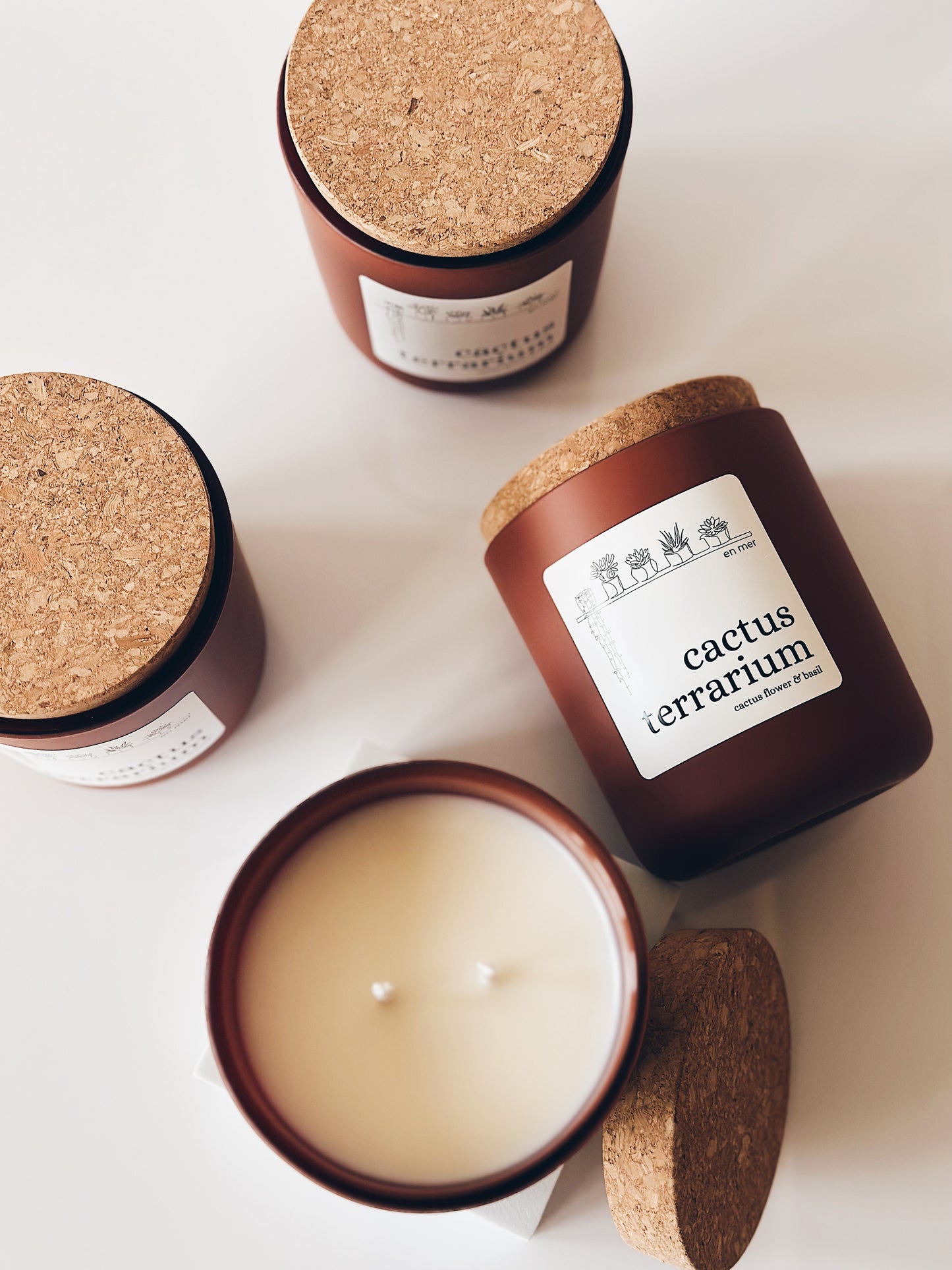 en mer LTD | cactus terrarium | limited batch soy wax candle