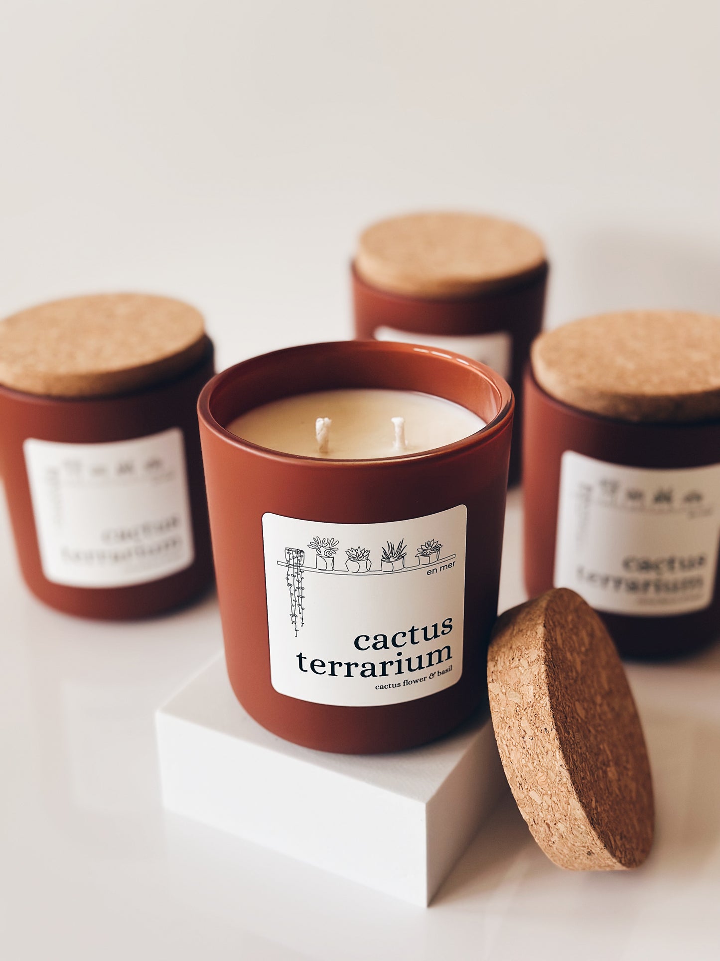 en mer LTD | cactus terrarium | limited batch soy wax candle