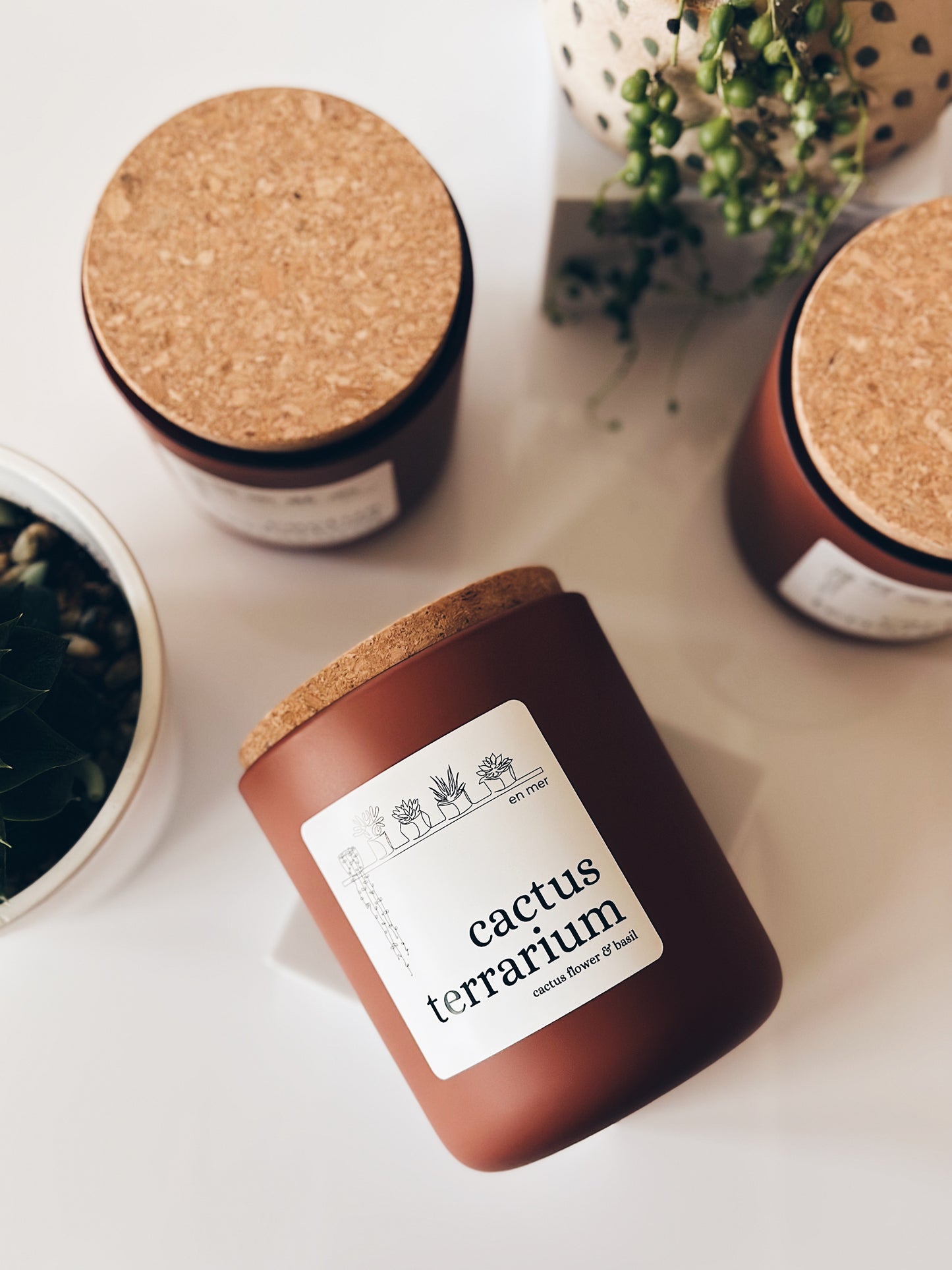 en mer LTD | cactus terrarium | limited batch soy wax candle