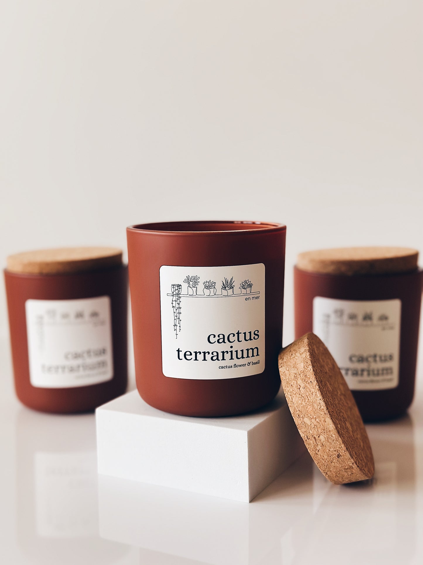 en mer LTD | cactus terrarium | limited batch soy wax candle