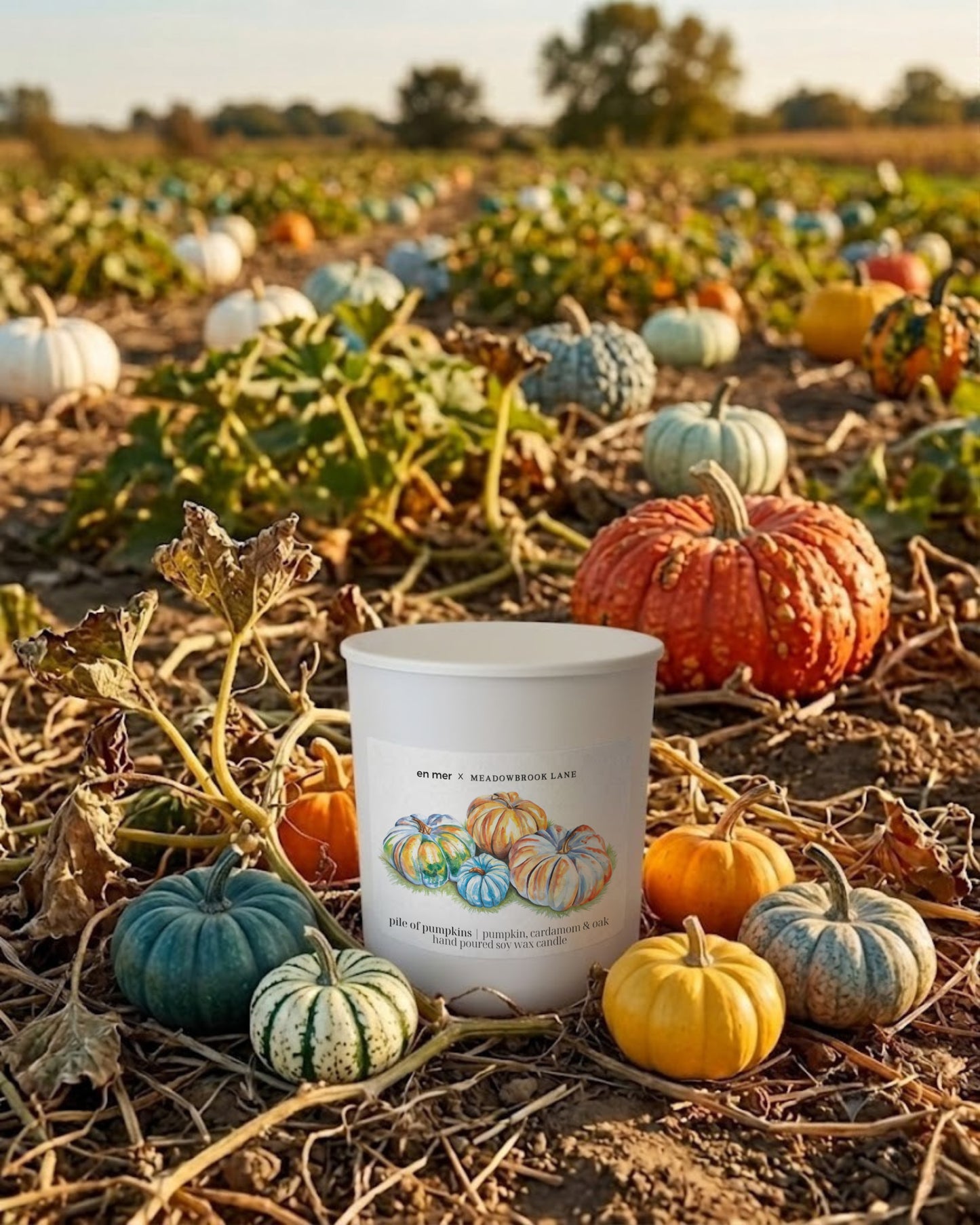 pile of pumpkins | soy wax candle by en mer x Meadowbrook Lane