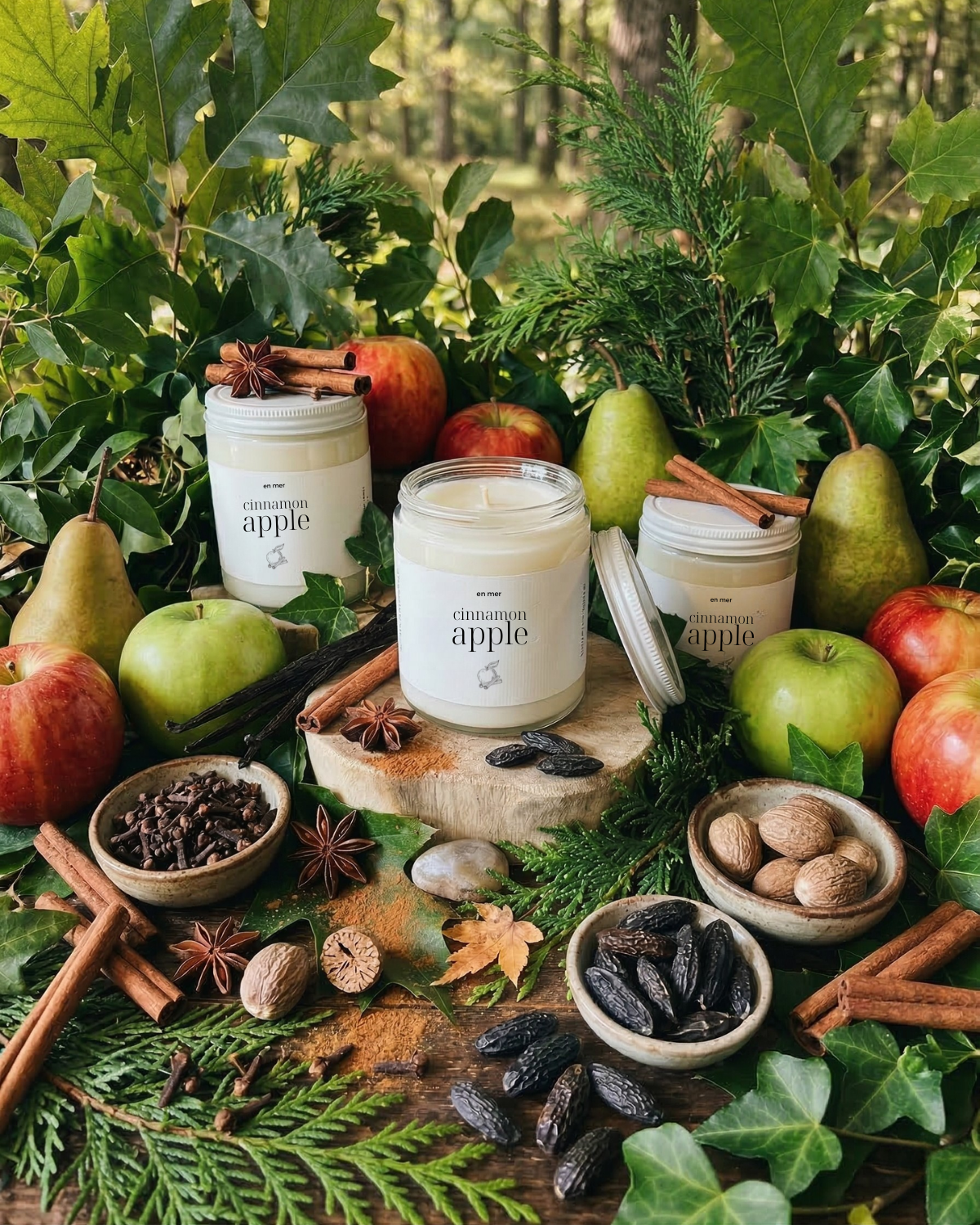 en mer | cinnamon apple | soy wax candle & melts