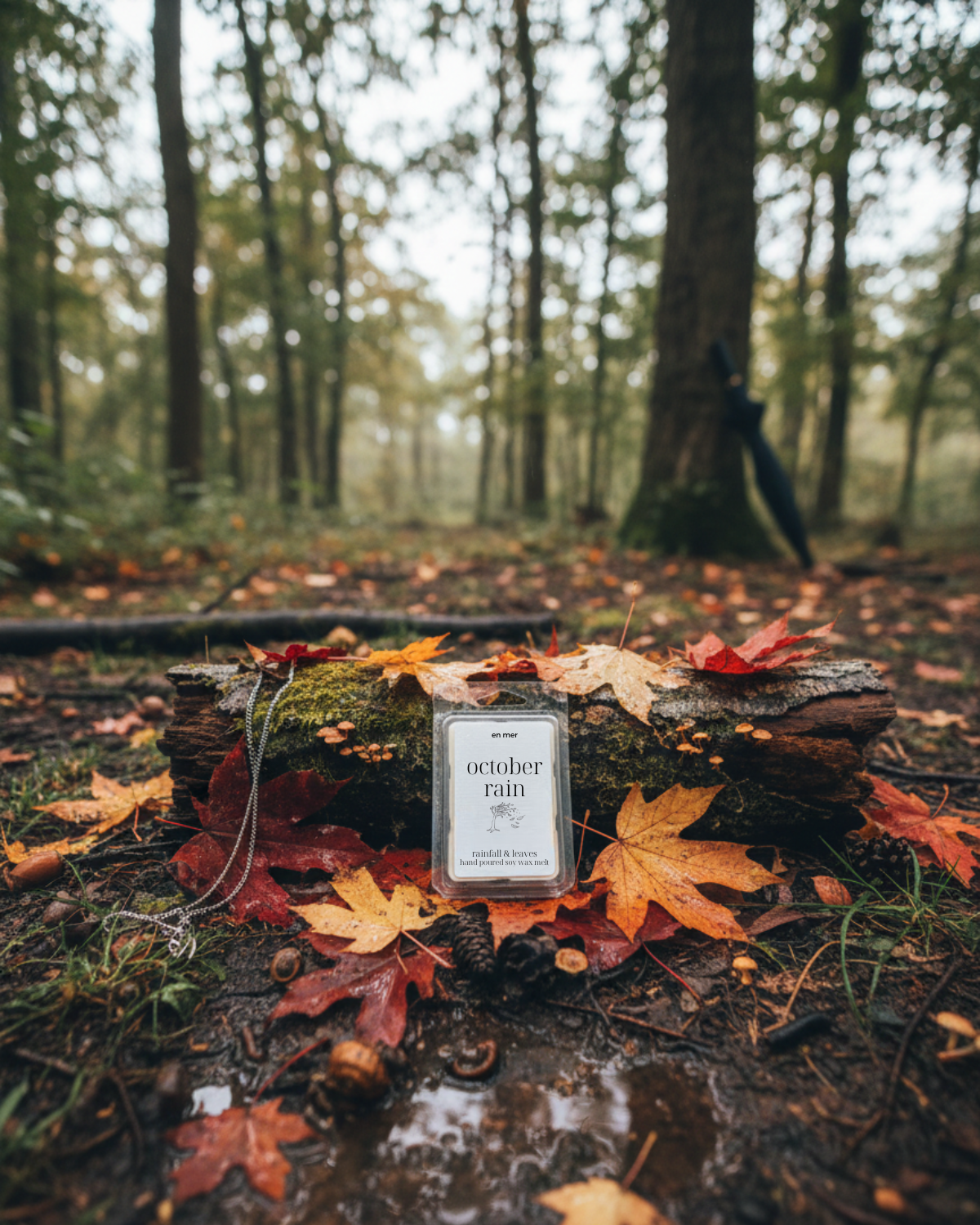 en mer | october rain | soy wax candle & melts
