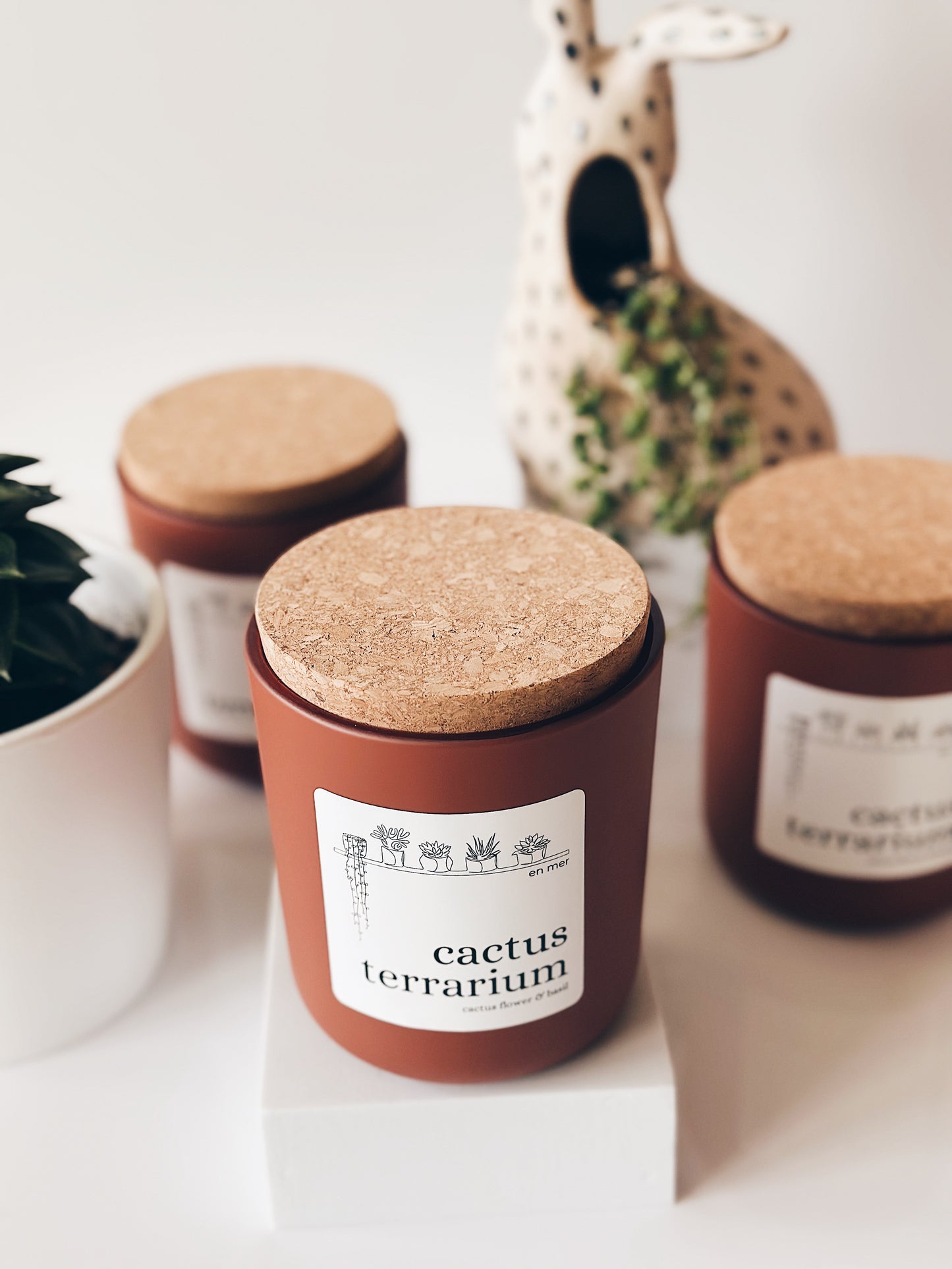 en mer LTD | cactus terrarium | limited batch soy wax candle