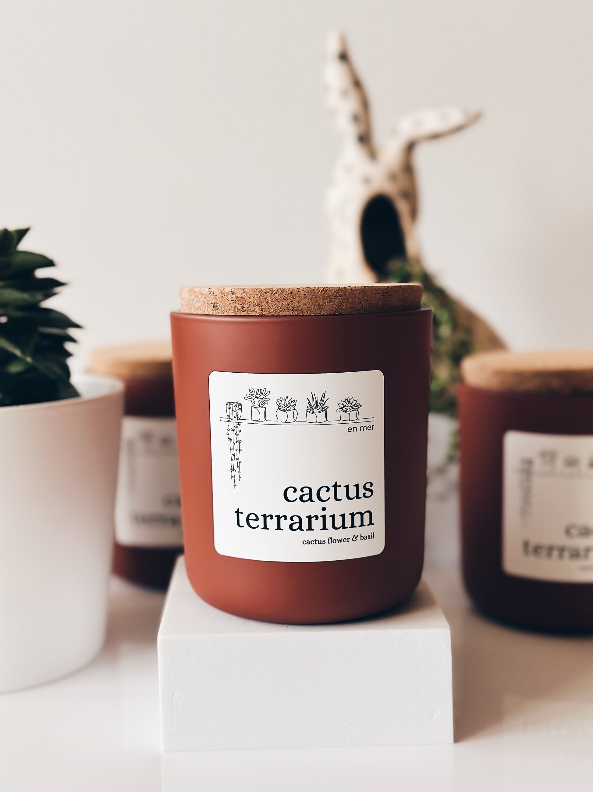 Terrarium Candle, Cactus Candle, Cool Candles