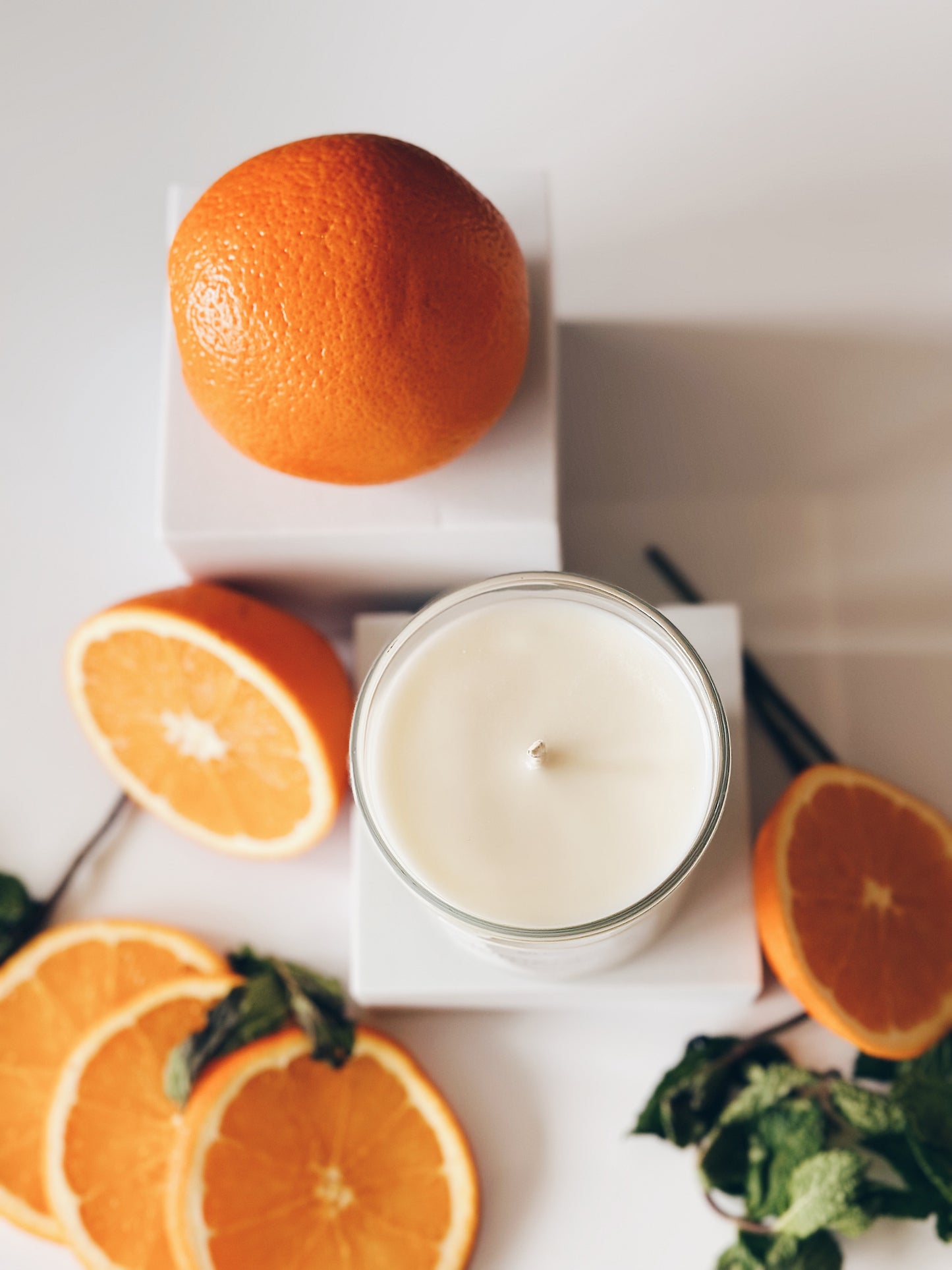 en mer | clemenpine | soy wax candle & melts